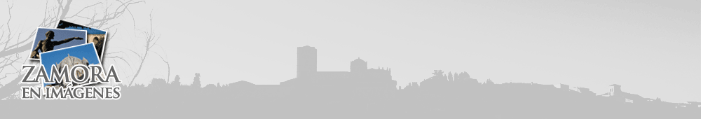 Zamora en im&aacute;genes